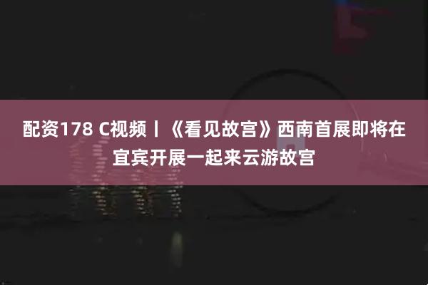 配资178 C视频丨《看见故宫》西南首展即将在宜宾开展一起来云游故宫