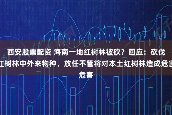 西安股票配资 海南一地红树林被砍？回应：砍伐红树林中外来物种，放任不管将对本土红树林造成危害