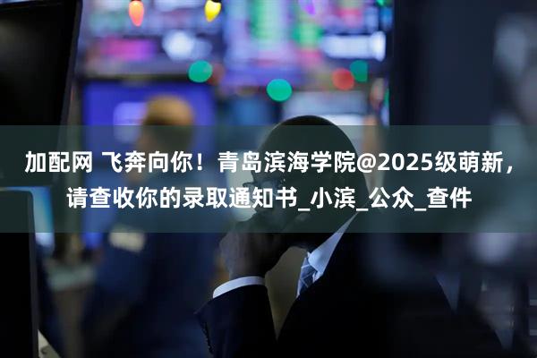 加配网 飞奔向你！青岛滨海学院@2025级萌新，请查收你的录取通知书_小滨_公众_查件